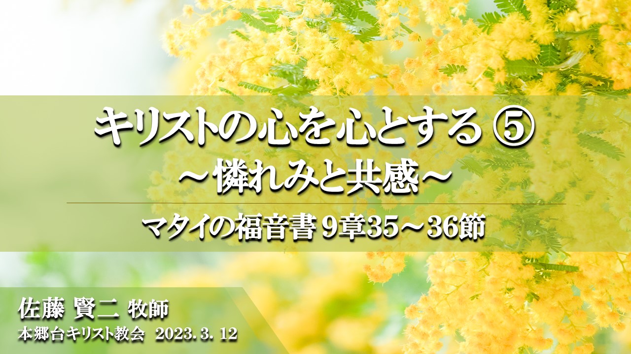 2023年3月12日 キリストの心を心とする（5）〜憐れみと共感〜