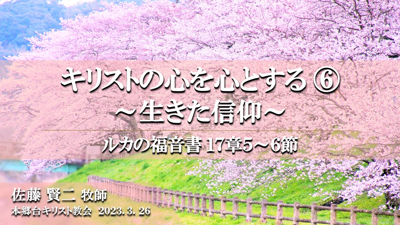 2023年3月26日 キリストの心を心とする（6）〜生きた信仰〜