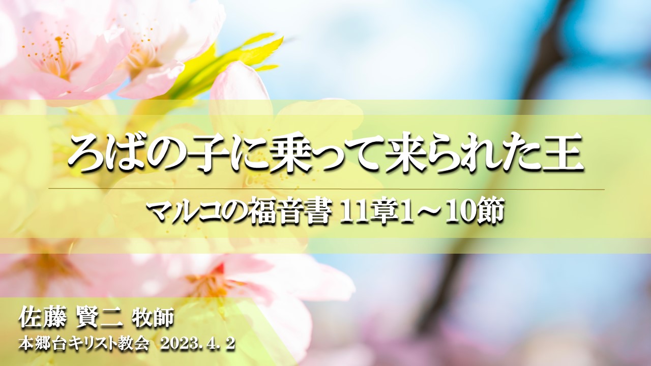 2023年4月2日 ろばの子に乗って来られた王