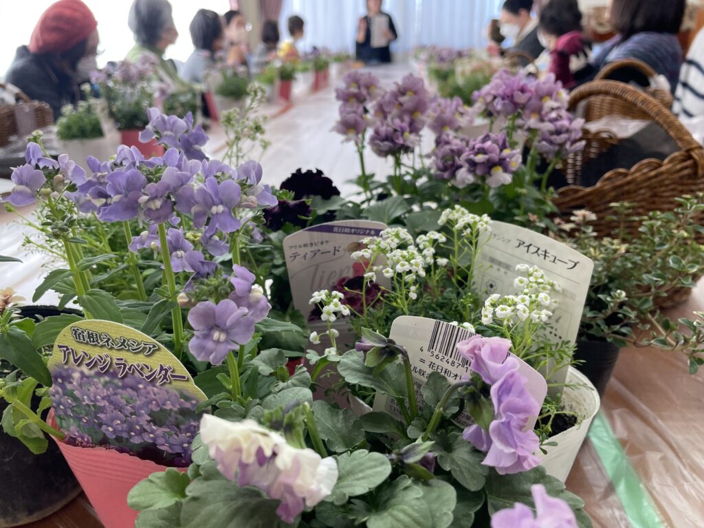 希望のとびら「寄植え講座」感謝！