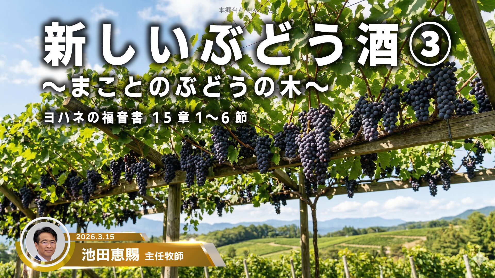 2026年3月15日　新しいぶどう酒③〜まことのぶどうの木〜