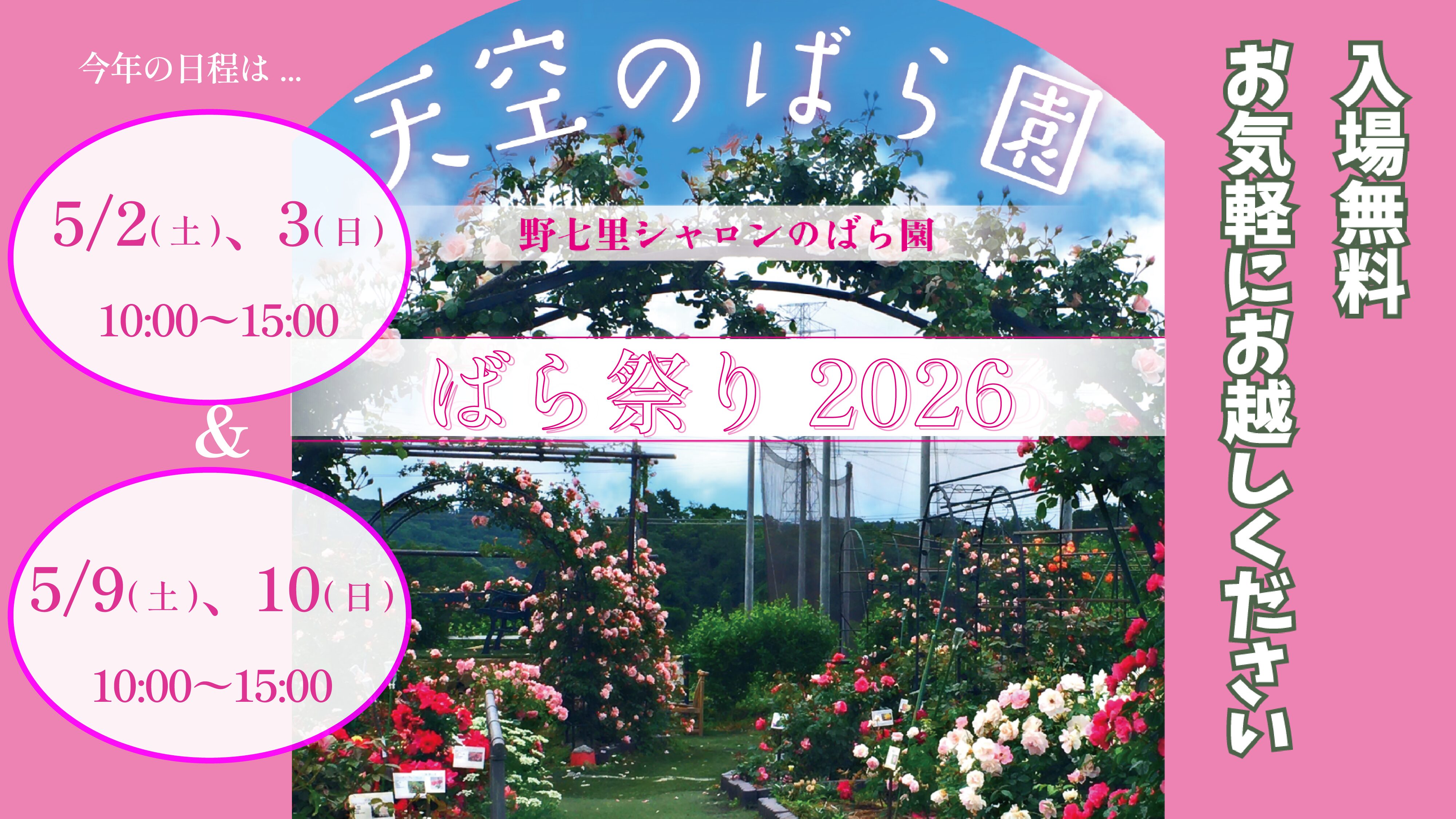 野七里シャロンのばら園・ばら祭り2026の案内 - 本郷台キリスト教会